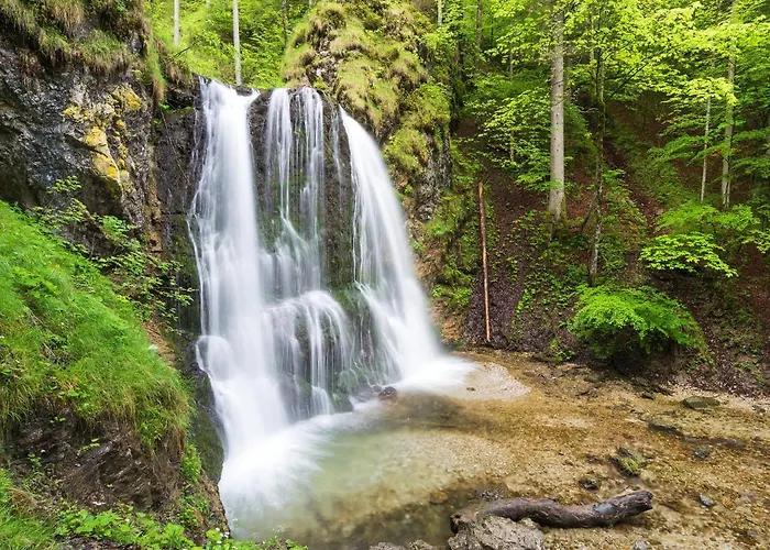 فندق Hubertus 3*